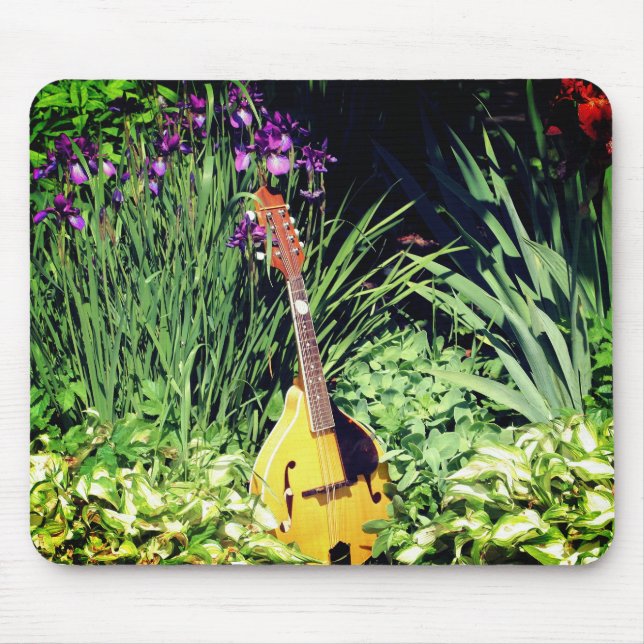 Mandolin And Iris Flower Garden Mouse Pad (Front)