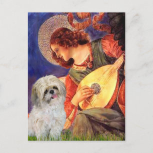 Mandolin Angel - Shih Tzu (P) Postcard
