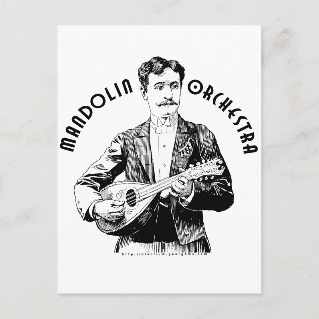Mandolin Orchestra Postcard (Front)