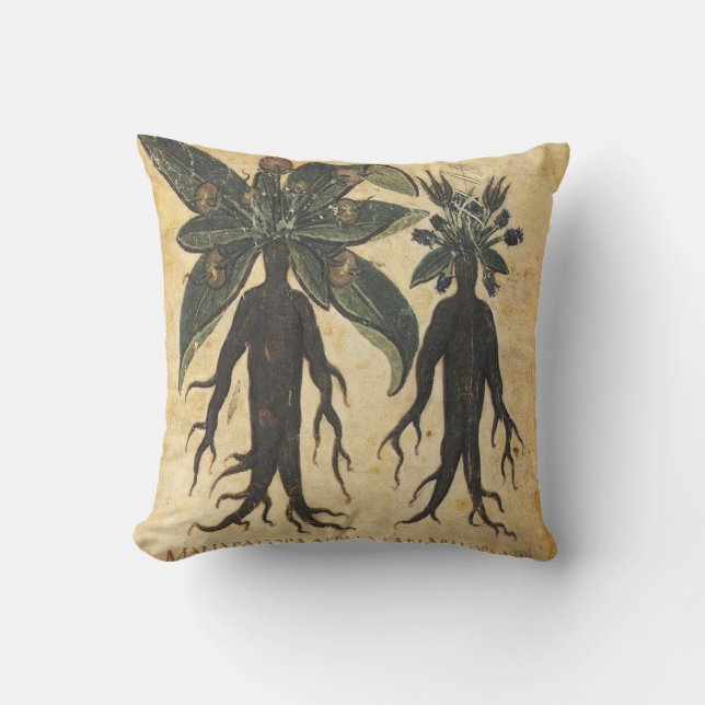 Mandrake Art Pillow (Front)