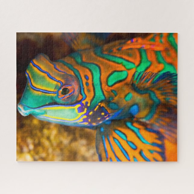Mandrian fish Puzzle (Horizontal)