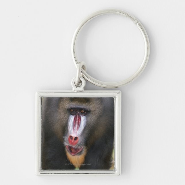 Mandril (Mandrillus sphinx) close up Keychain (Front)