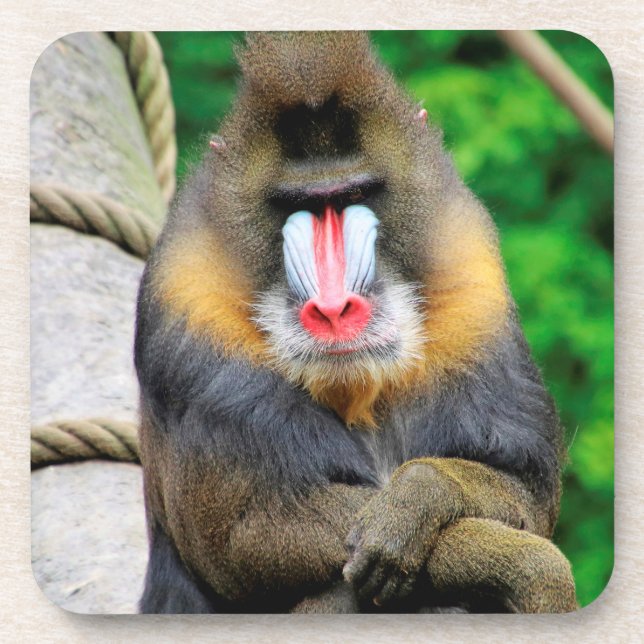 Mandrill 001 beverage coaster (Front)