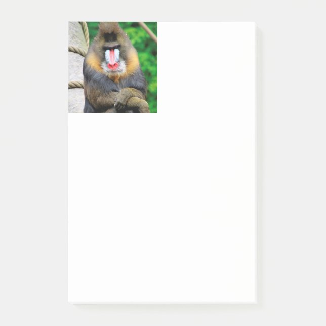 Mandrill 001 post-it notes (Front)
