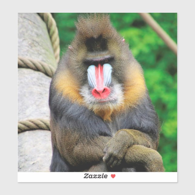 Mandrill 001 sticker (Sheet)