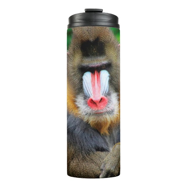 Mandrill 001 thermal tumbler (Front)