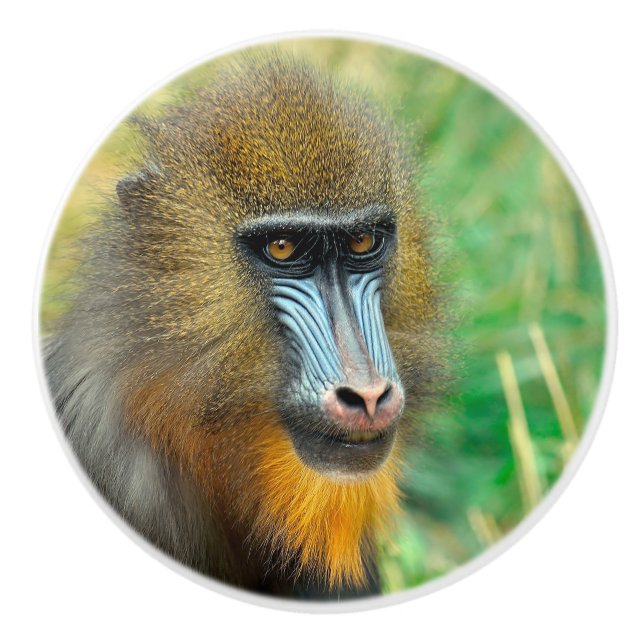 Mandrill 002 ceramic knob (Front)