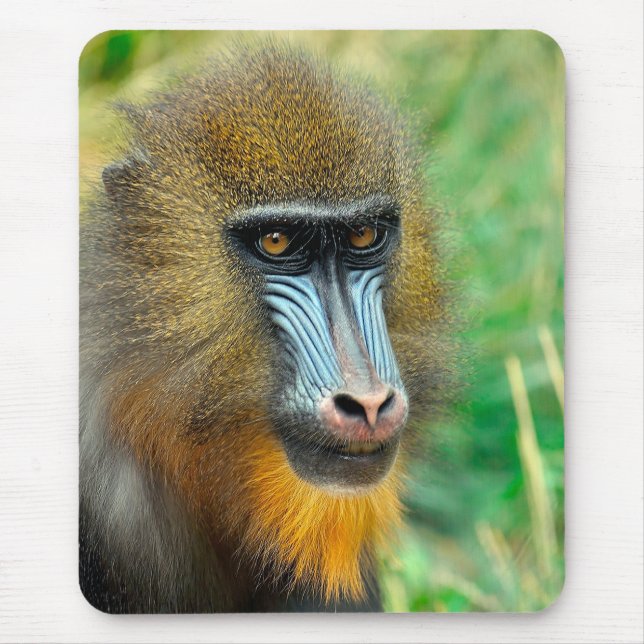 Mandrill 002 mouse pad (Front)
