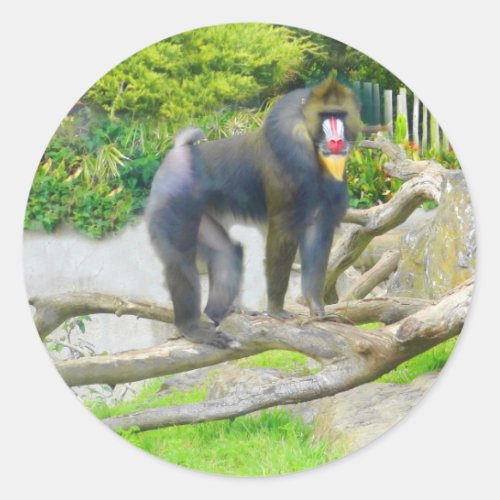 Mandrill 7 Stickers