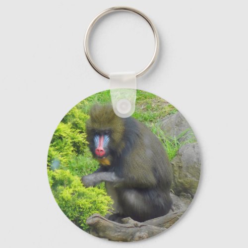 Mandrill 9 Keychain