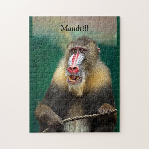 Mandrill African Ape Jigsaw Puzzle