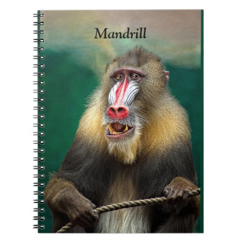 Mandrill African Ape Notebook