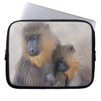 Mandrill and Young Laptop Sleeve