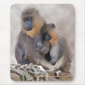 Mandrill and Young Mousemat Mouse Pad