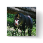 Mandrill Pin