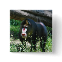 Mandrill Pin