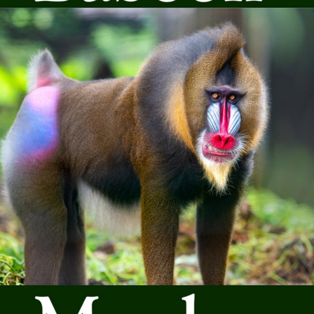 Mandrill Puzzle Portrait (Baboon Monkey Jigsaw Puzzle!)