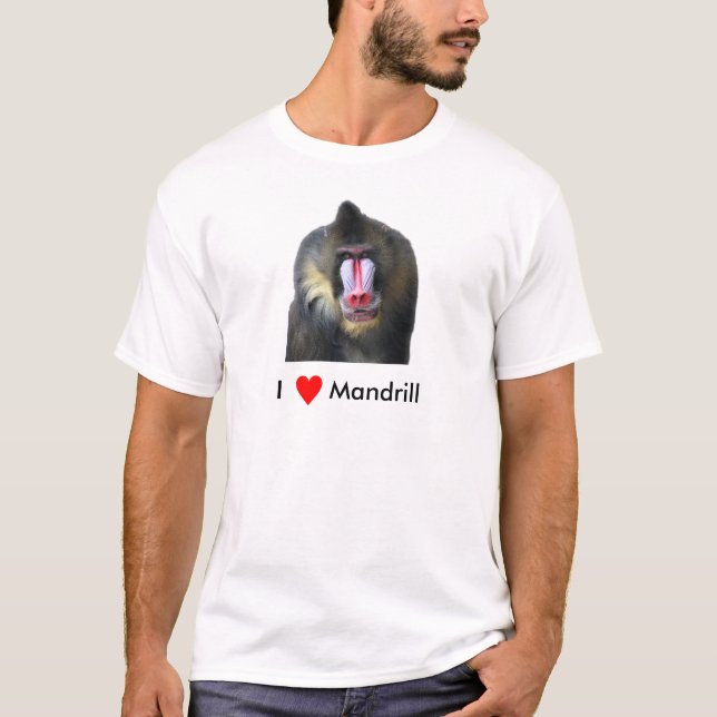 Mandrill T-Shirt (Front)