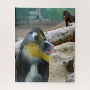 Mandrills Jigsaw Puzzle
