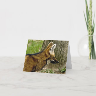 Maned Wolf  1529 Note Card