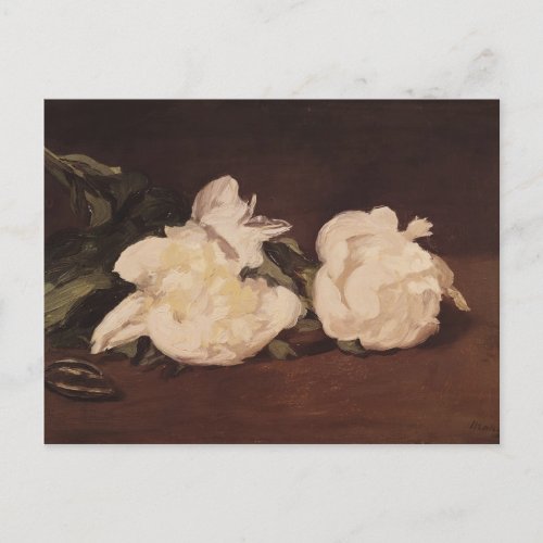 Manet  Branch of White Peonies and Secateurs Postcard