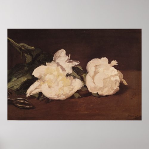 Manet  Branch of White Peonies and Secateurs Poster