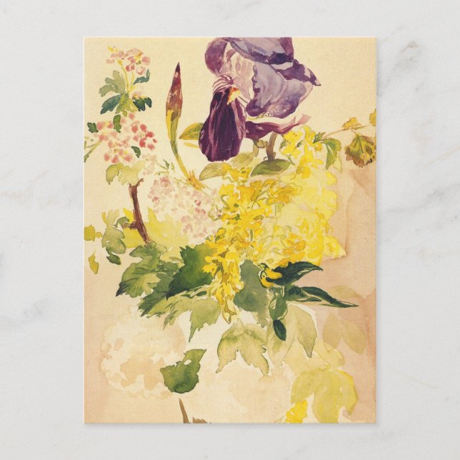 Manet Fine Art Postcard (Front)