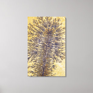 Manganese dendrites, Southwestern USA Canvas Print