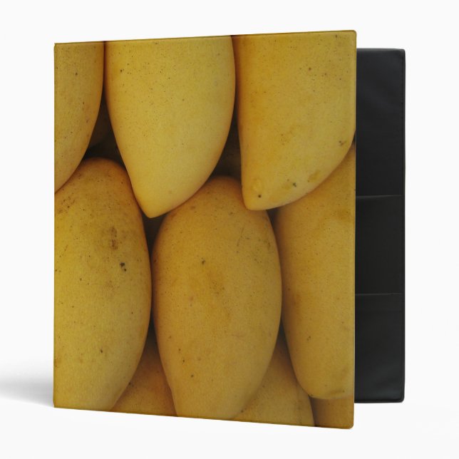 Mango 3 Ring Binder (Front/Inside)