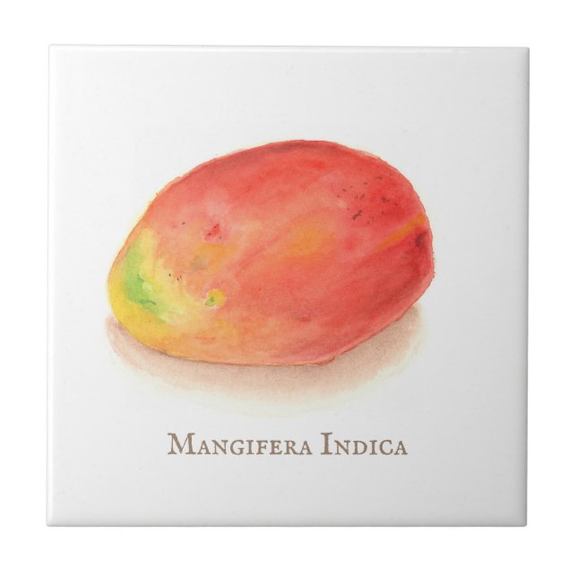 Mango! Ceramic Tile (Front)