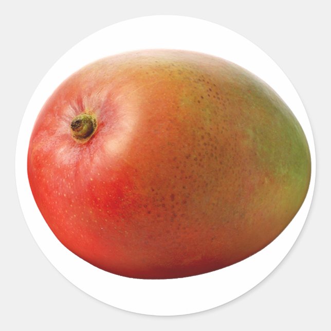 Mango Classic Round Sticker (Front)