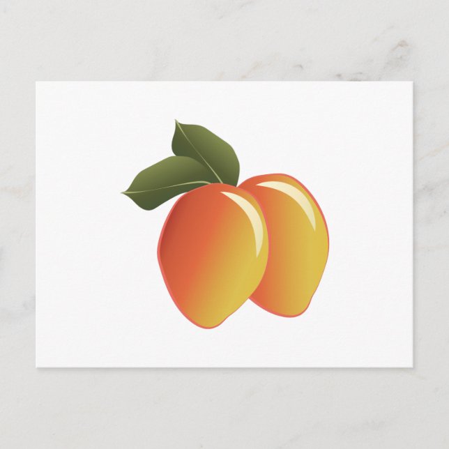 Mango Fruit Postcard (Front)