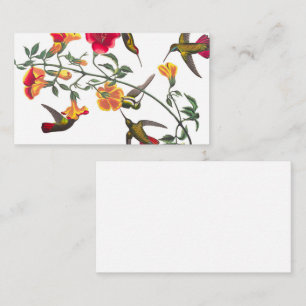 Mango Hummingbird by John James Audubon Business Card