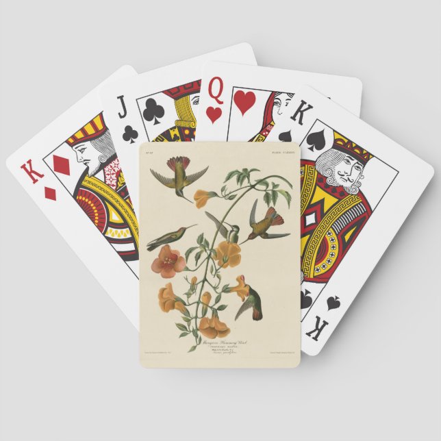 Mango Hummingbird from Audubon's Birds of America Poker Cards (Back)