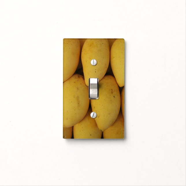 Mango Light Switch Cover (In Situ)
