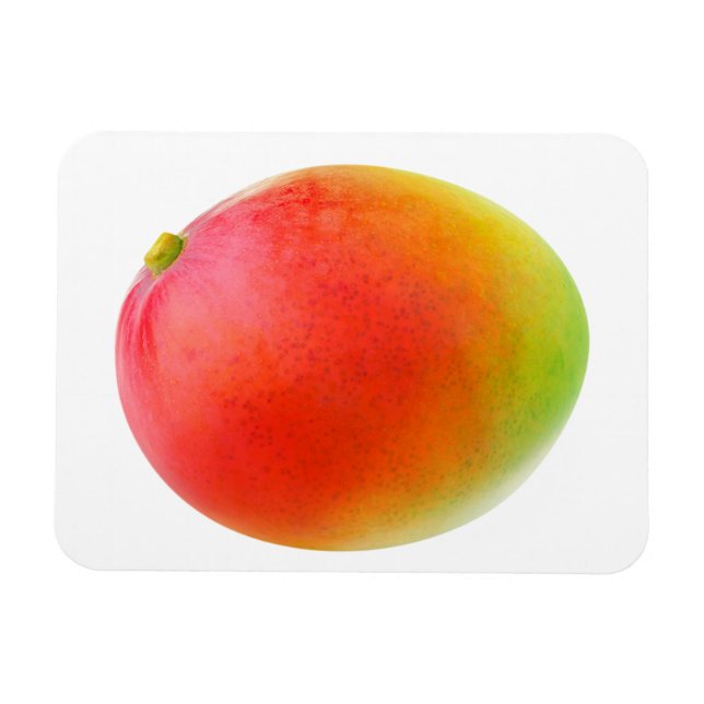 Mango Magnet (Horizontal)