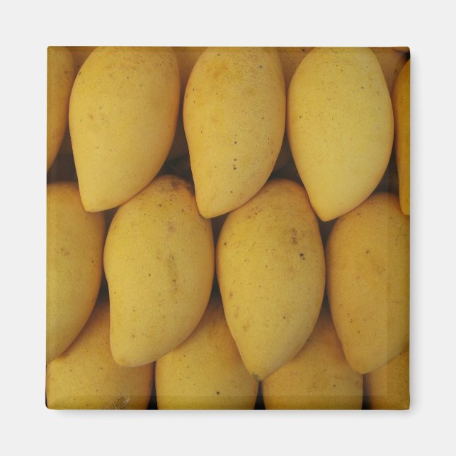 Mango Magnet (Front)