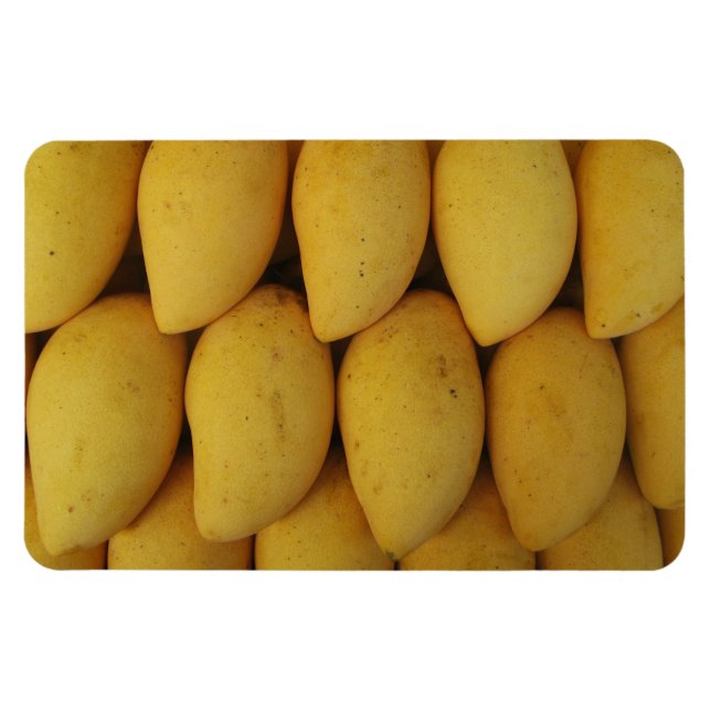 Mango Magnet (Horizontal)