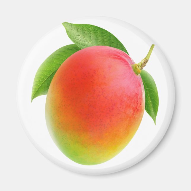 Mango Magnet (Front)