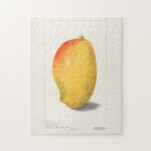 Mango Mangifera Indica Fruit Watercolor Painting Jigsaw Puzzle
