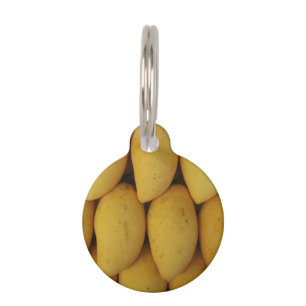 Mango Pet ID Tag