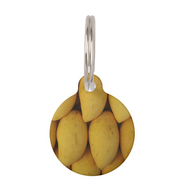 Mango Pet ID Tag (Front)