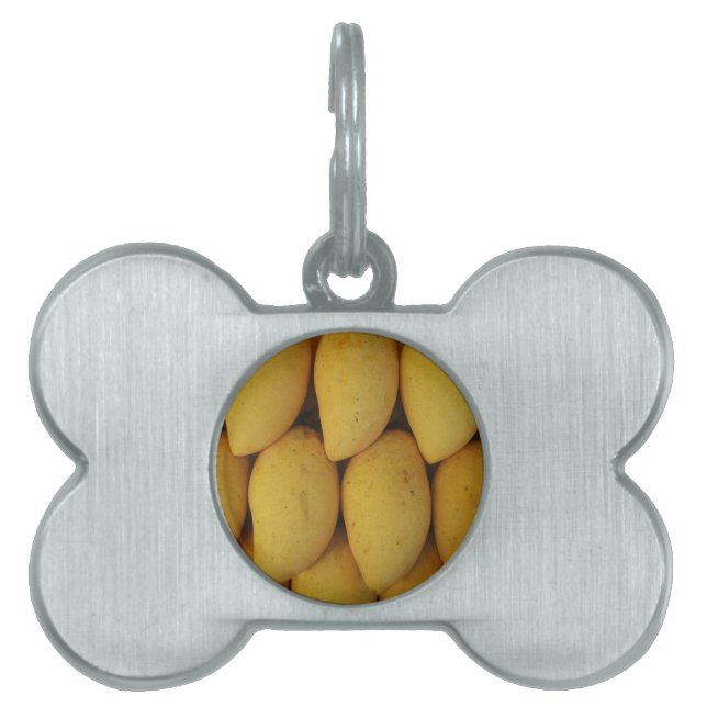 Mango Pet ID Tag (Front)