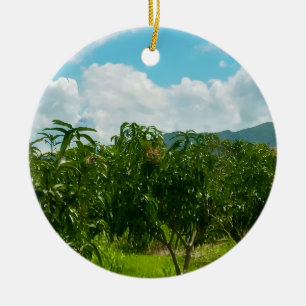 Mango Plantation Dambulla Sri Lanka Acrylic Wall Ceramic Ornament