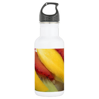 Mango Rice Sushi Food Plate Meal Cuisine Stainless Steel Water Bottle