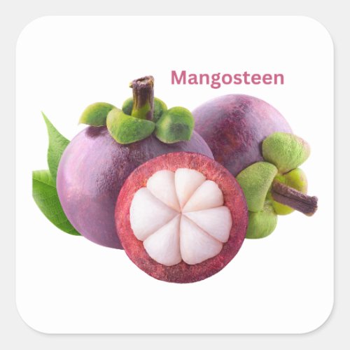 Mangosteen Fruit Sticker