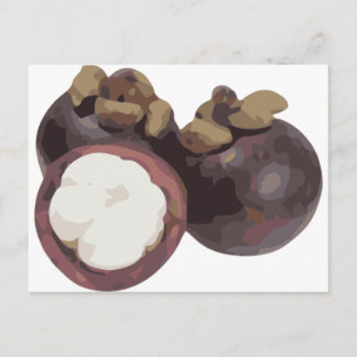 Mangosteen Sweet and Tangy Fruit from Thailand Postcard