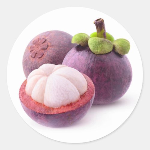 Mangosteens Classic Round Sticker