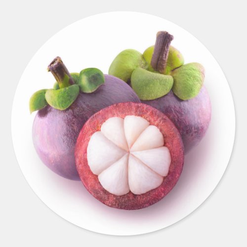 Mangosteens Classic Round Sticker