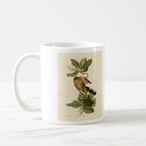 Mangrove Cuckoo from Audubons Birds of America Coffee Mug